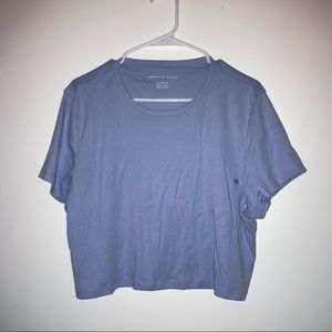 NWOT American Eagle Crop Top